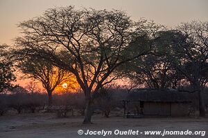 Réserve faunique de Vwaza - Malawi