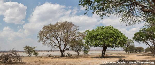 Réserve faunique de Vwaza - Malawi