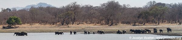 Réserve faunique de Vwaza - Malawi