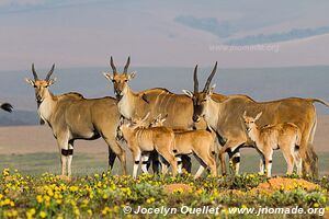 Parc national de Nyika - Malawi