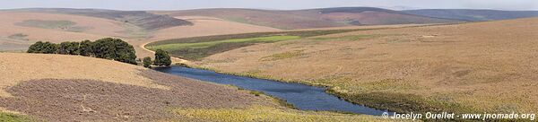 Nyika National Park - Malawi