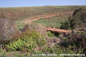 Nyika National Park - Malawi