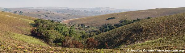 Nyika National Park - Malawi