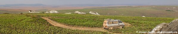 Nyika National Park - Malawi