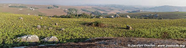 Nyika National Park - Malawi