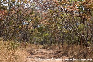 Parc national de Nyika - Malawi