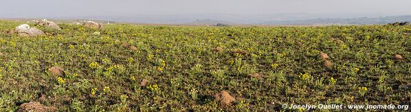 Nyika National Park - Malawi