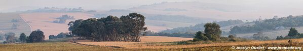 Parc national de Nyika - Malawi