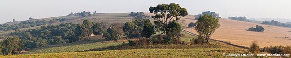 Parc national de Nyika - Malawi