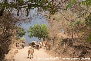 Mua Mission - Malawi