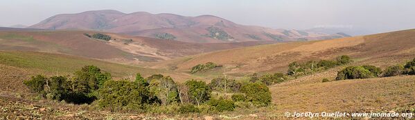 Nyika National Park - Malawi