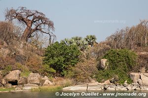 Monkey Bay - Malawi