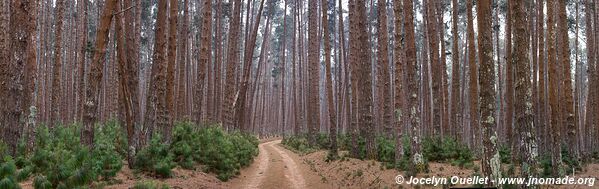 Parc national de Nyika - Malawi