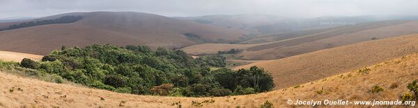 Parc national de Nyika - Malawi