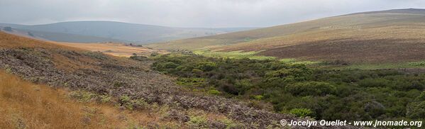 Nyika National Park - Malawi