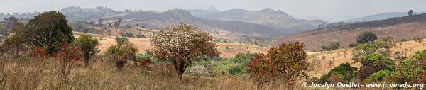 Nyika National Park - Malawi