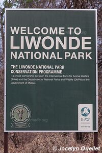 Parc national de Liwonde - Malawi