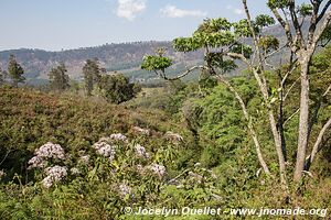 Zomba Plateau - Malawi