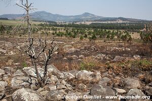 Plateau de Zomba - Malawi