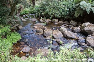 Zomba Plateau - Malawi