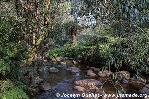 Zomba Plateau - Malawi