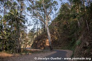 Plateau de Zomba - Malawi