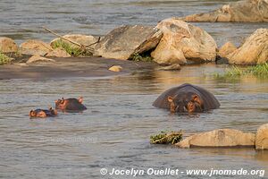 Majete Wildlife Reserve - Malawi