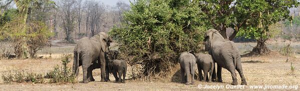 Parc national de Liwonde - Malawi