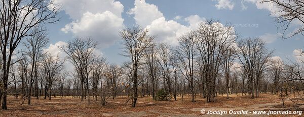 Parc national de Liwonde - Malawi