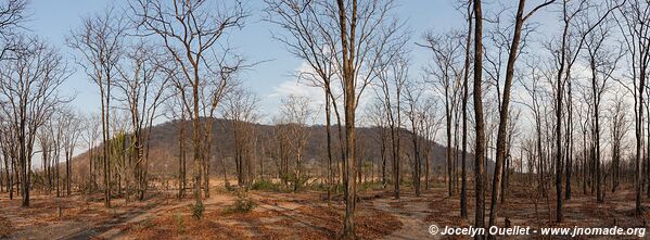 Parc national de Liwonde - Malawi