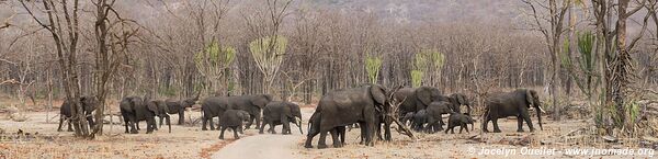 Parc national de Liwonde - Malawi