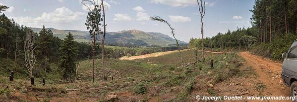 Plateau de Zomba - Malawi