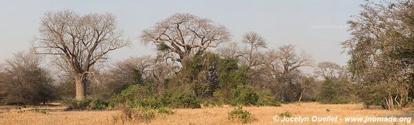 Parc national de Lengwe - Malawi