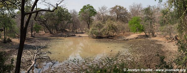 Lengwe National Park - Malawi