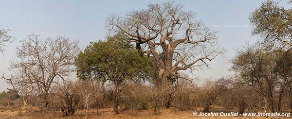 Majete Wildlife Reserve - Malawi