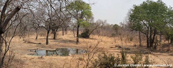 Réserve faunique de Majete - Malawi