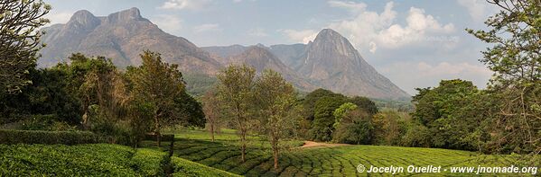 Massif Mulanje - Malawi