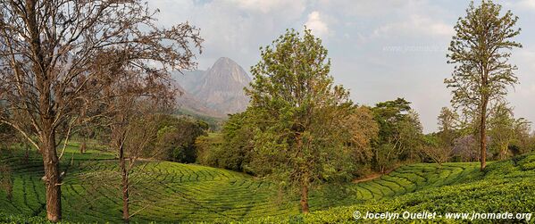 Massif Mulanje - Malawi