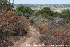 Reserva especial de Maputo - Mozambique