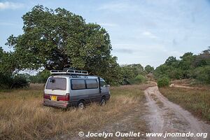 Reserva especial de Maputo - Mozambique