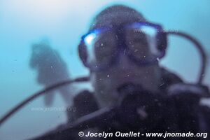 Chamber of Secrets Reef - Tofo - Mozambique