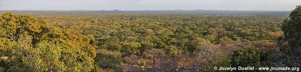 Réserve national de Niassa - Mozambique