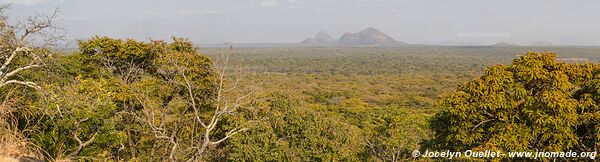 Réserve national de Niassa - Mozambique