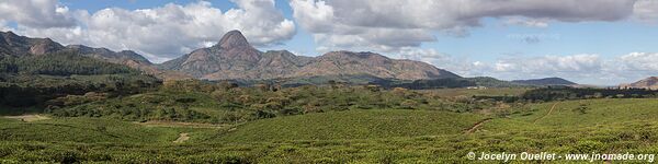 Gurué - Mozambique