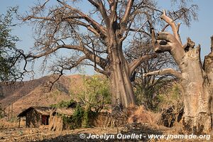 Chiwanga - Lac Niassa - Mozambique