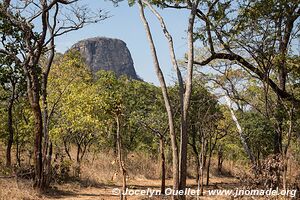 Réserve national de Niassa - Mozambique