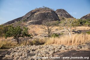 Réserve national de Niassa - Mozambique