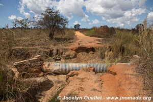 Road from Pemba to Quissanga - Mozambique