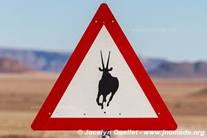 Réserve naturelle de Namibrand - Namibie