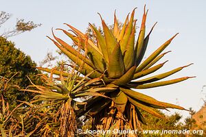 Réserve naturelle Malolotja - Swaziland